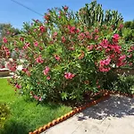 Appartamento Maison Du Soleil *