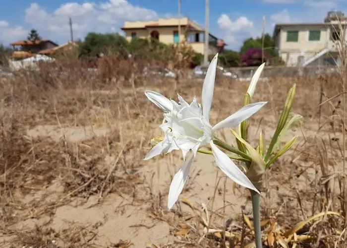 Maison Du Soleil Daire Agnone Bagni